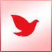 Xinguo Group Co., Ltd.