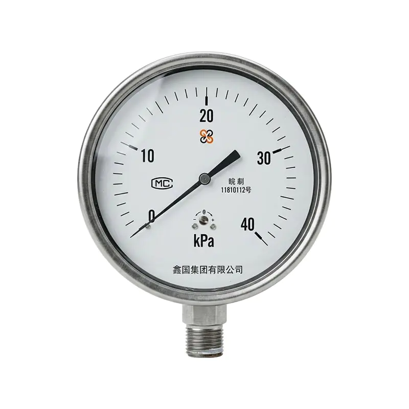 XG/YE-100B مقياس ضغط صندوق الحجاب الحاجز من الفولاذ المقاوم للصدأ